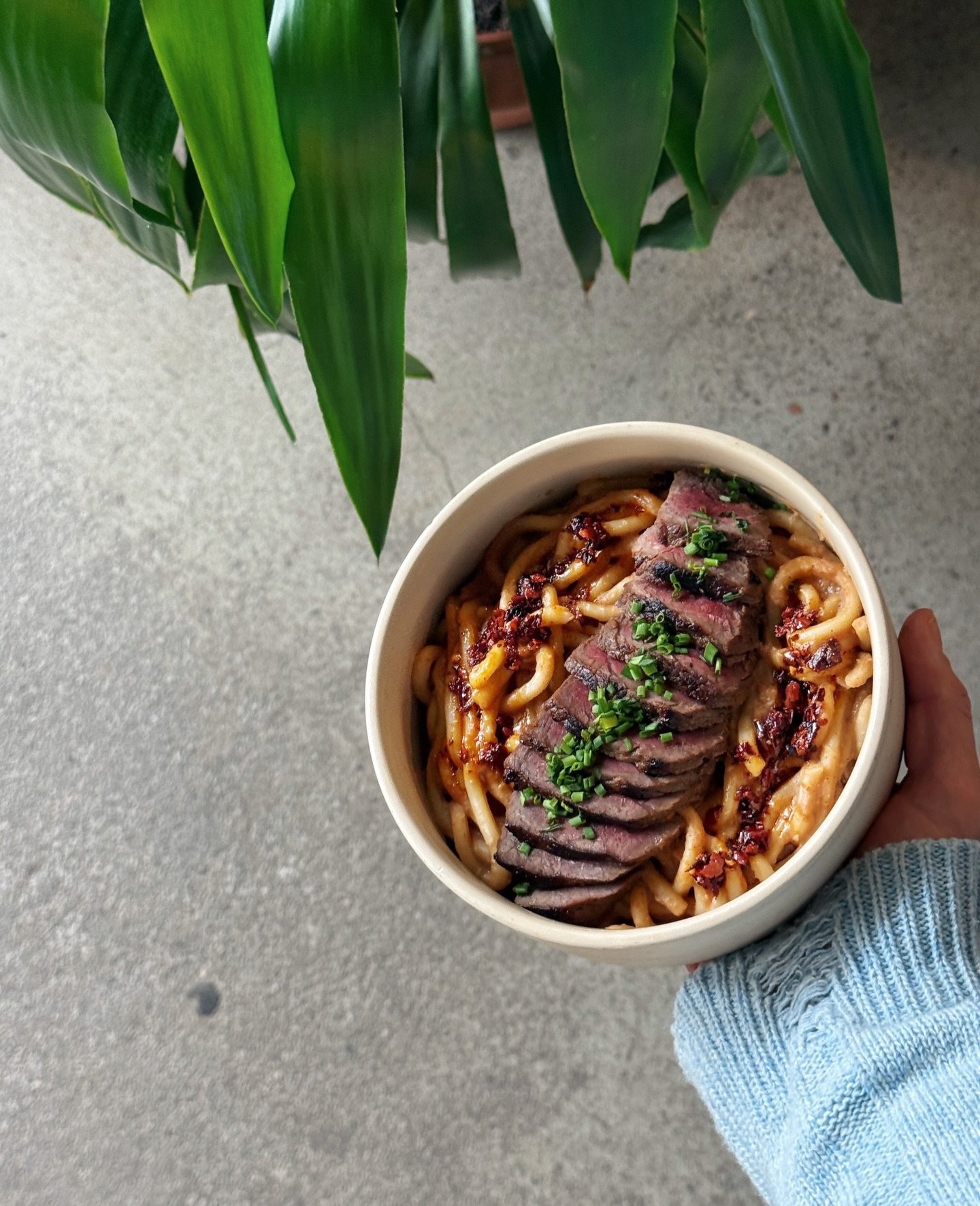 Wołowe udon z roślinami — Cantine